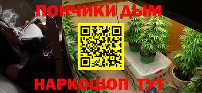 молекула духа Кингисепп