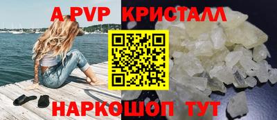 молекула духа Кингисепп