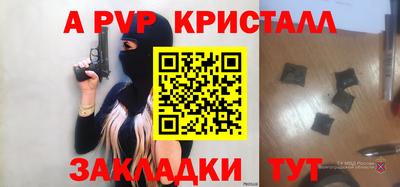 молекула духа Кингисепп