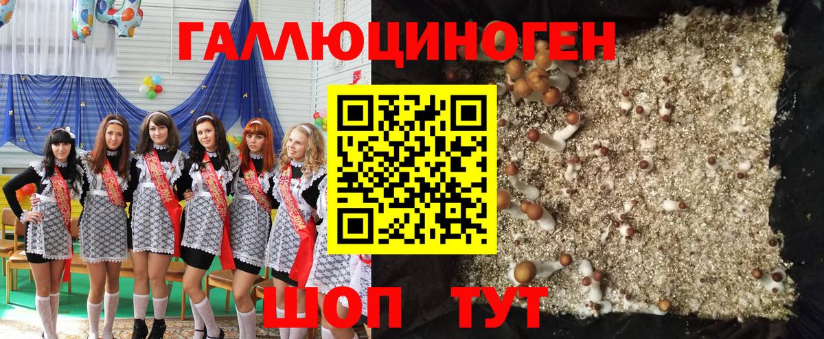Орёл  Псилоцибиновые грибы Magic Shrooms  даркнет сайт  Вход с VPN 